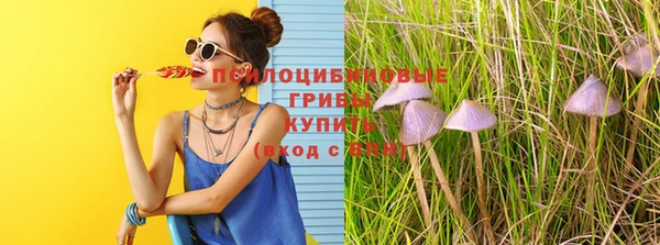 мет Баксан