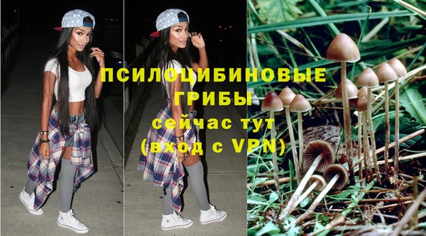 прущая мука Пролетарск