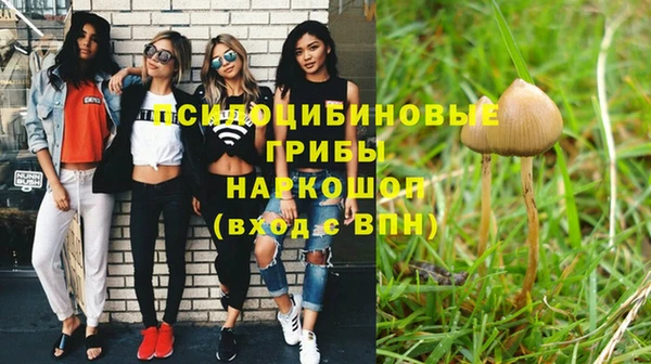 мет Баксан