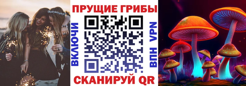 Галлюциногенные грибы Magic Shrooms hydra tor площадка как зайти Талдом